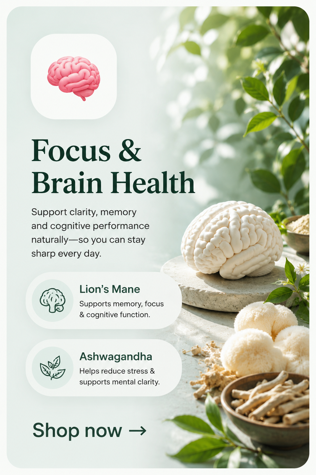 Focus & Brain Heath