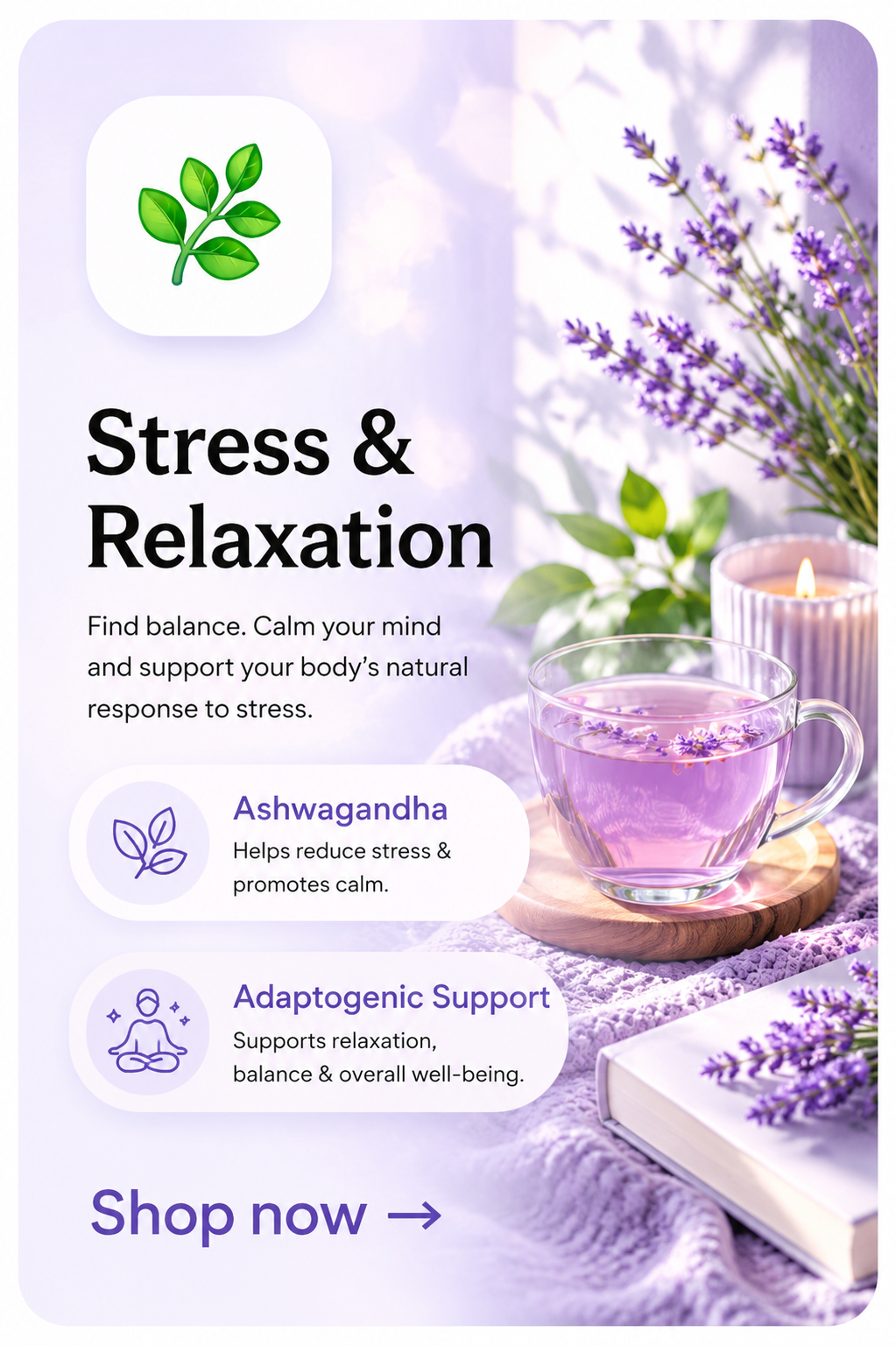 Stress & Relaxation